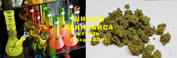 крисы Карпинск