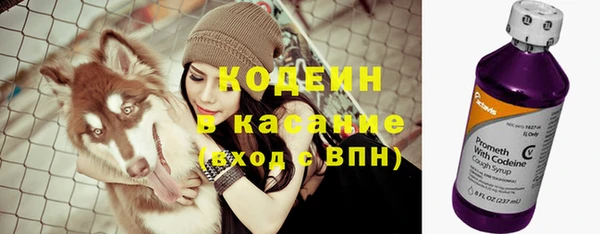 крисы Карпинск