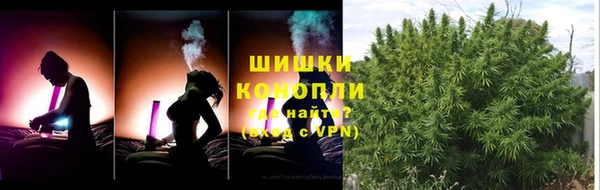 крисы Карпинск