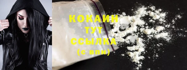 крисы Карпинск