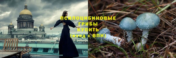 крисы Карпинск