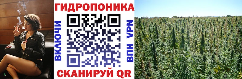 Купить  Ростов  Конопля индика 